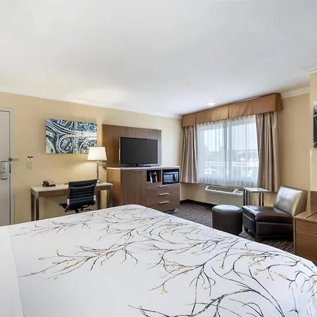 Best Western Airpark Hotel - Lax Airport La Stadium-2