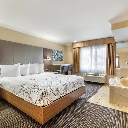 Best Western Airpark Hotel - Lax Airport La Stadium-2