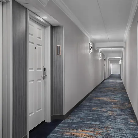 Homewood Suites By Hilton Ft. Worth-North At Fossil Creek-3