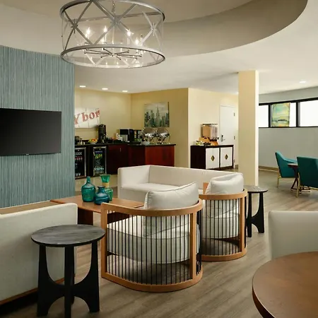 Sheraton Tampa Brandon Hotel-3
