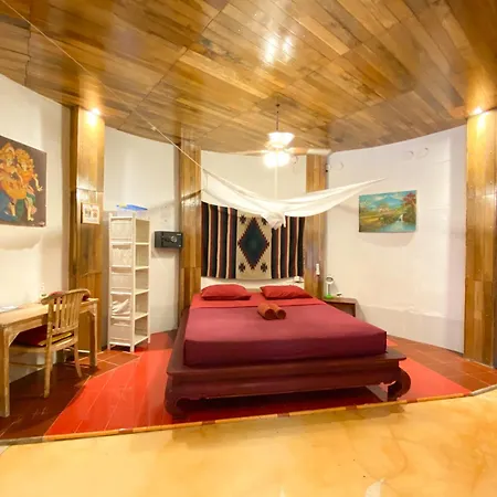 Serenity Eco Guesthouse And Yoga- Chse Certified-2