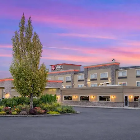 Best Western Plus Peppertree Airport Inn-3