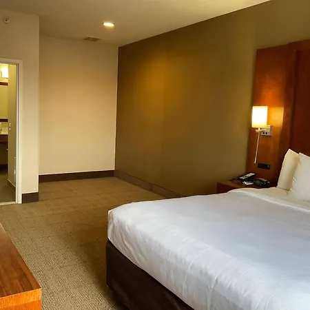Comfort Suites Dover University Area-3