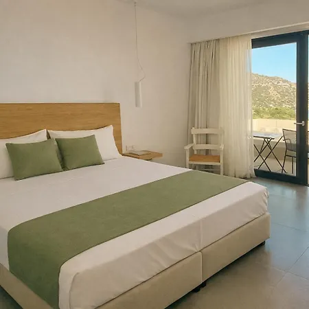 Zeus Eleva Miraya (Adults Only)-3