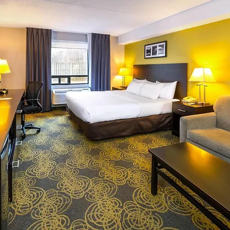 Comfort Hotel & Suites-3