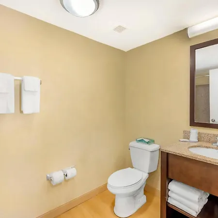 Mainstay Suites Jacksonville Near Camp Lejeune-3