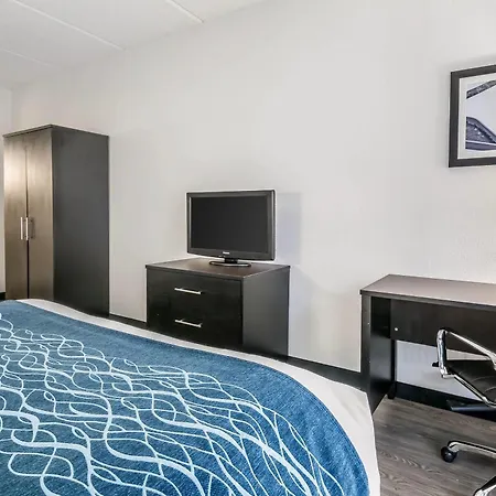 Comfort Inn Gainesville - University Area-3