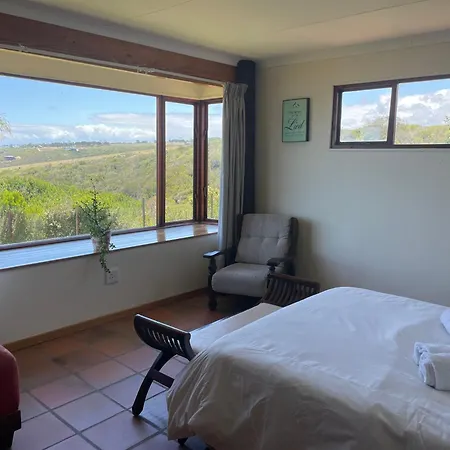 Blue Whale Resort-2