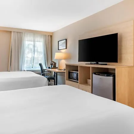 Casco Bay Hotel Portland Airport - Maine Mall, An Ascend Collection Hotel-2