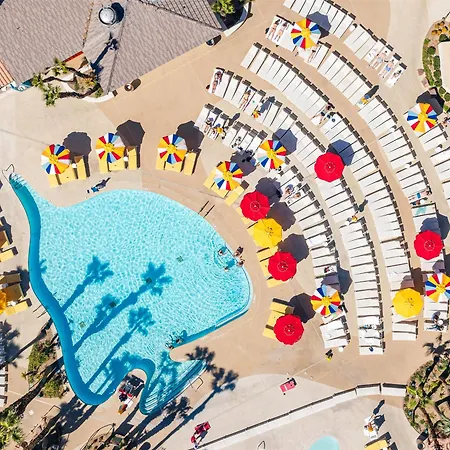 Rio Hotel & Casino, A Destination By Hyatt Hotel-3
