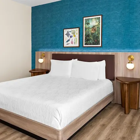 Hilton Garden Inn Guanacaste Airport-2
