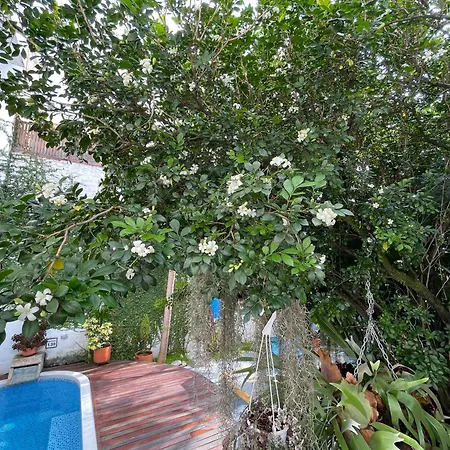 Casa Hotel Jardin Azul-2