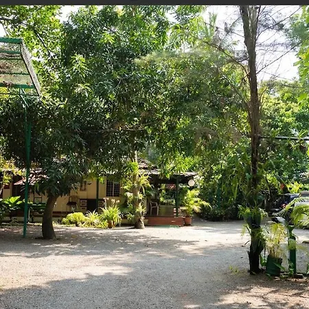 Palm Grove Service Villa-2