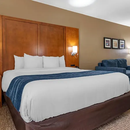 Comfort Inn Birmingham - Irondale-3