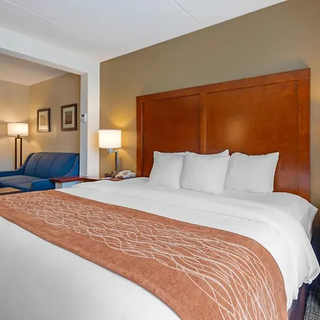 Comfort Inn & Suites Wilkes Barre - Arena-2