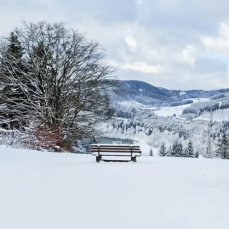 Panorama Hotel Winterberg-3