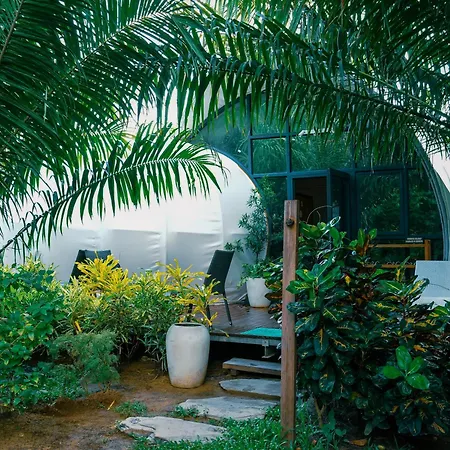 Nacpan Beach Glamping Managed By H Hospitality Group - Newly Renovated-3