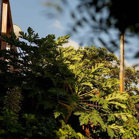 Pousada do Nica-2