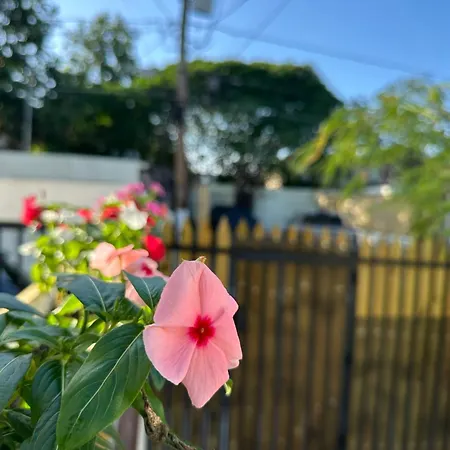 Tropical Studio-3