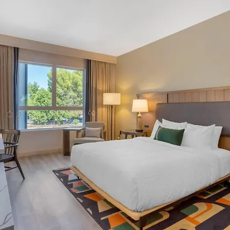 Cambria Hotel Templeton - Paso Robles-2