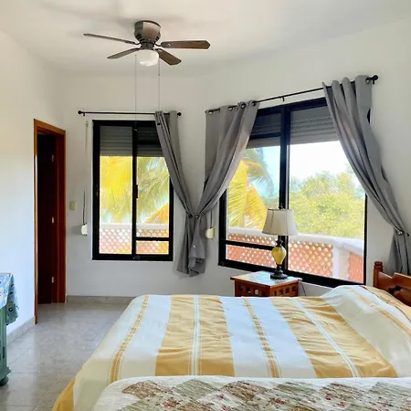 Celeste Vida-2