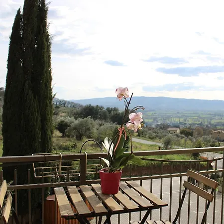 Viole Country Hotel-2
