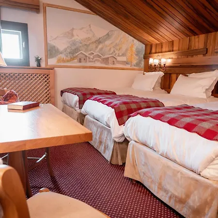 Hotel Alpen Ruitor-2