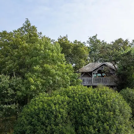 La Gree Des Landes - Eco-Hotel-Spa Yves Rocher-2