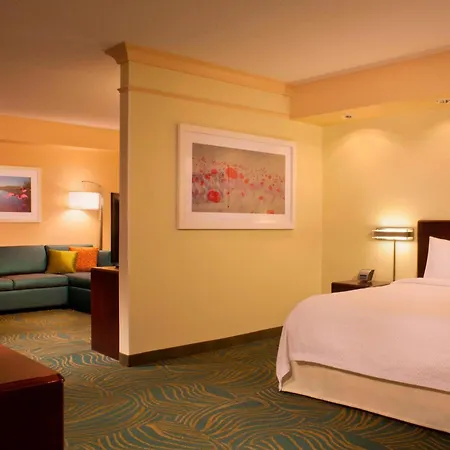 Springhill Suites Gainesville-3