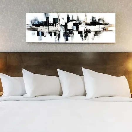 Repotel Levis-2
