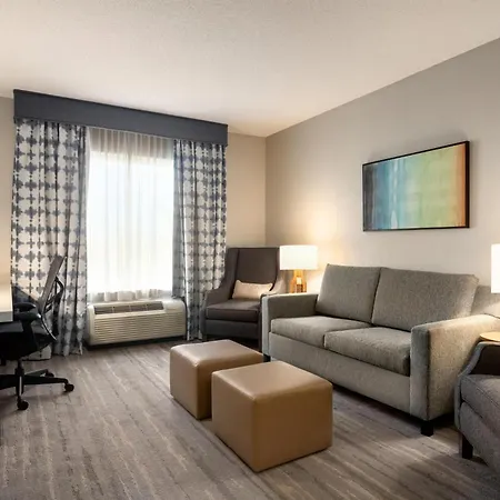 Hilton Garden Inn Fort Myers Airport/Fgcu-2