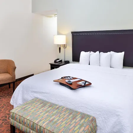 Hampton Inn Pecos-3