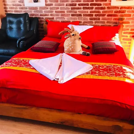 Blue Mountain Home Stay-2
