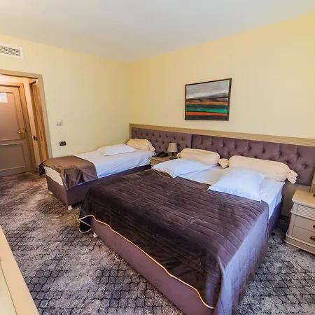 Bucium Motel & Spa-2