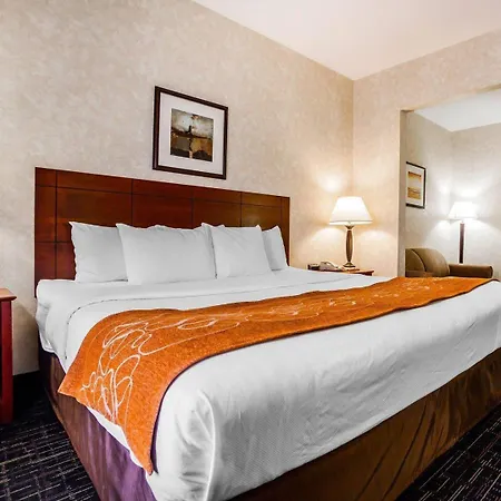 Comfort Suites Independence - Kansas City-3