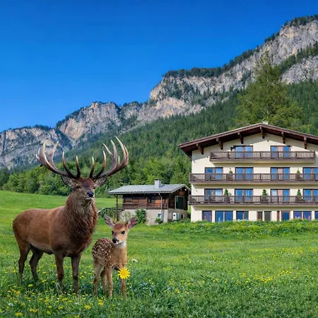 Berghof Haselsberger-3