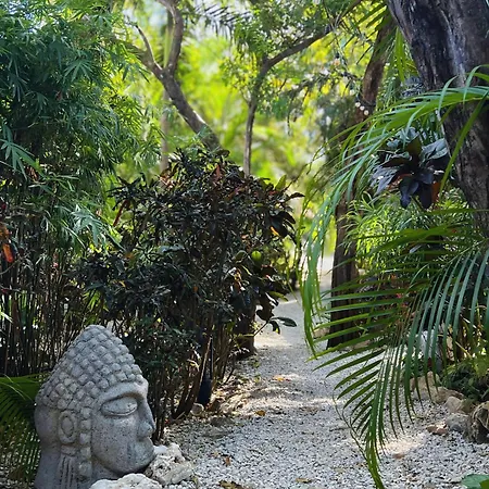 Green Sanctuary Hotel-3