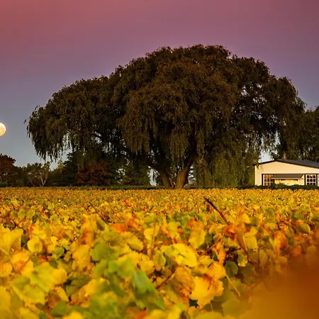 St Leonards Vineyard Cottages-2