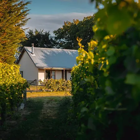St Leonards Vineyard Cottages-2