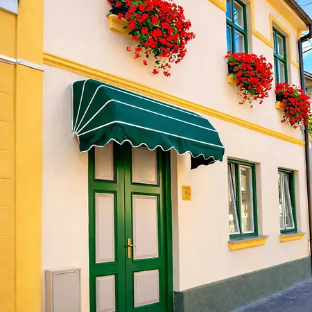 Rosen Villa Sibiu-3