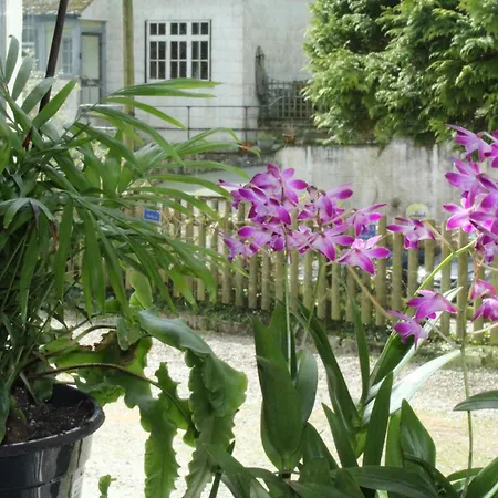Penryn House Hotel-2