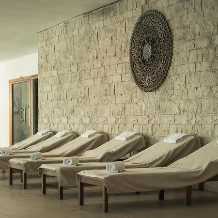 Hotel Sun Palace Albir & Spa (Adults Only)-2