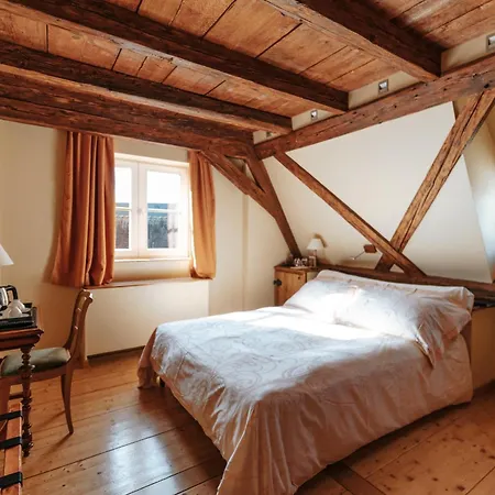 Hotel & Spa Le Bouclier D'Or-3