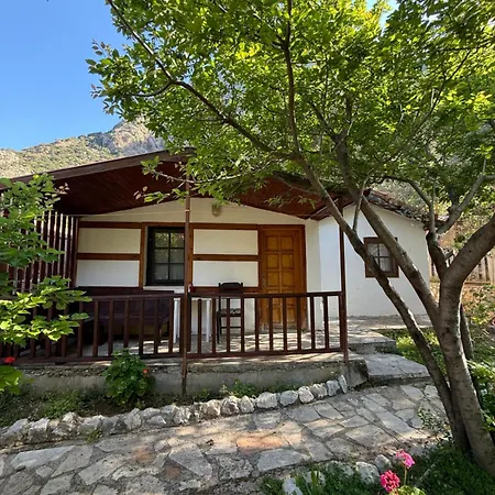 Kidrak Otel Montenegro-1-2