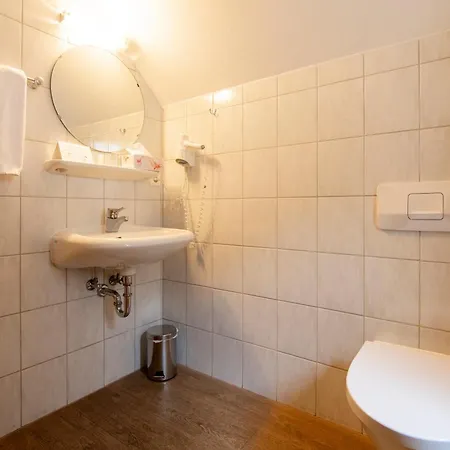 Hotel Zur Traube-3