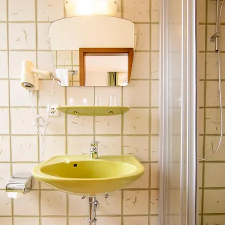 Hotel Zur Traube-2