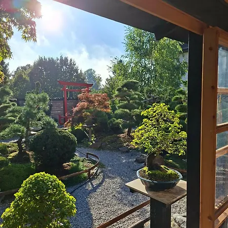 Hotel Maj Inn-2