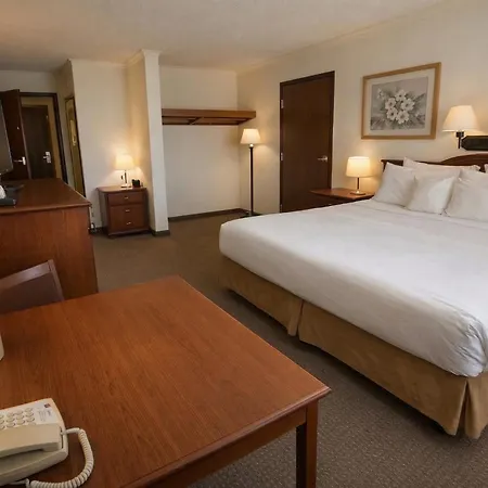 Lone Tree Inn-3