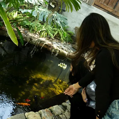 Hostal Macaw-2