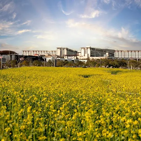 Shinhwa Jeju Shinhwa World Hotels-2